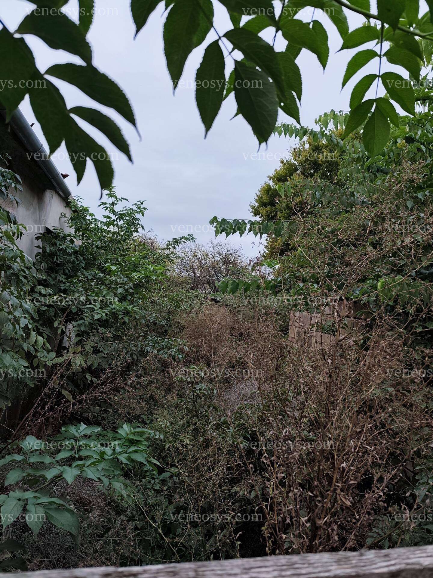 Kép 14