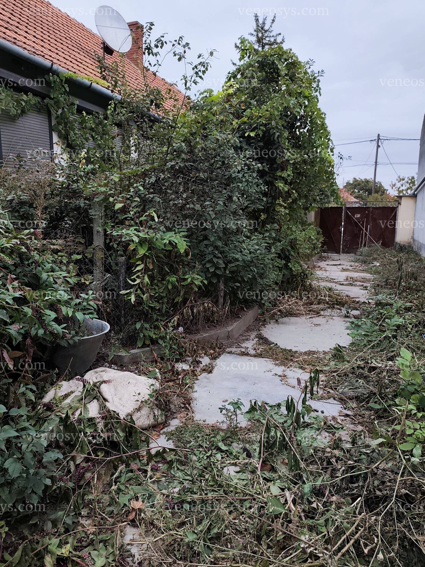 Kép 16
