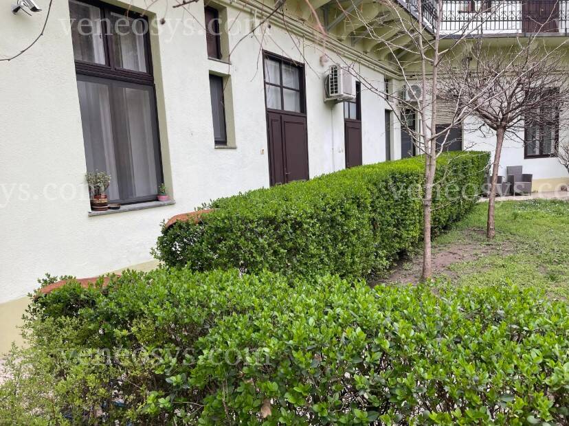 Kép 11