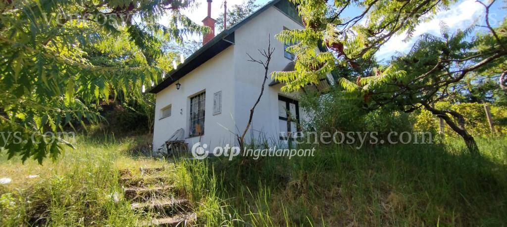 Kép 15