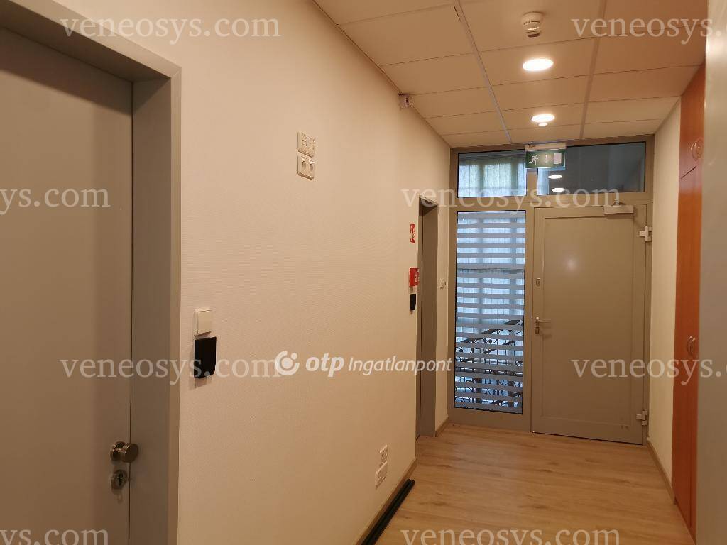 Kép 4