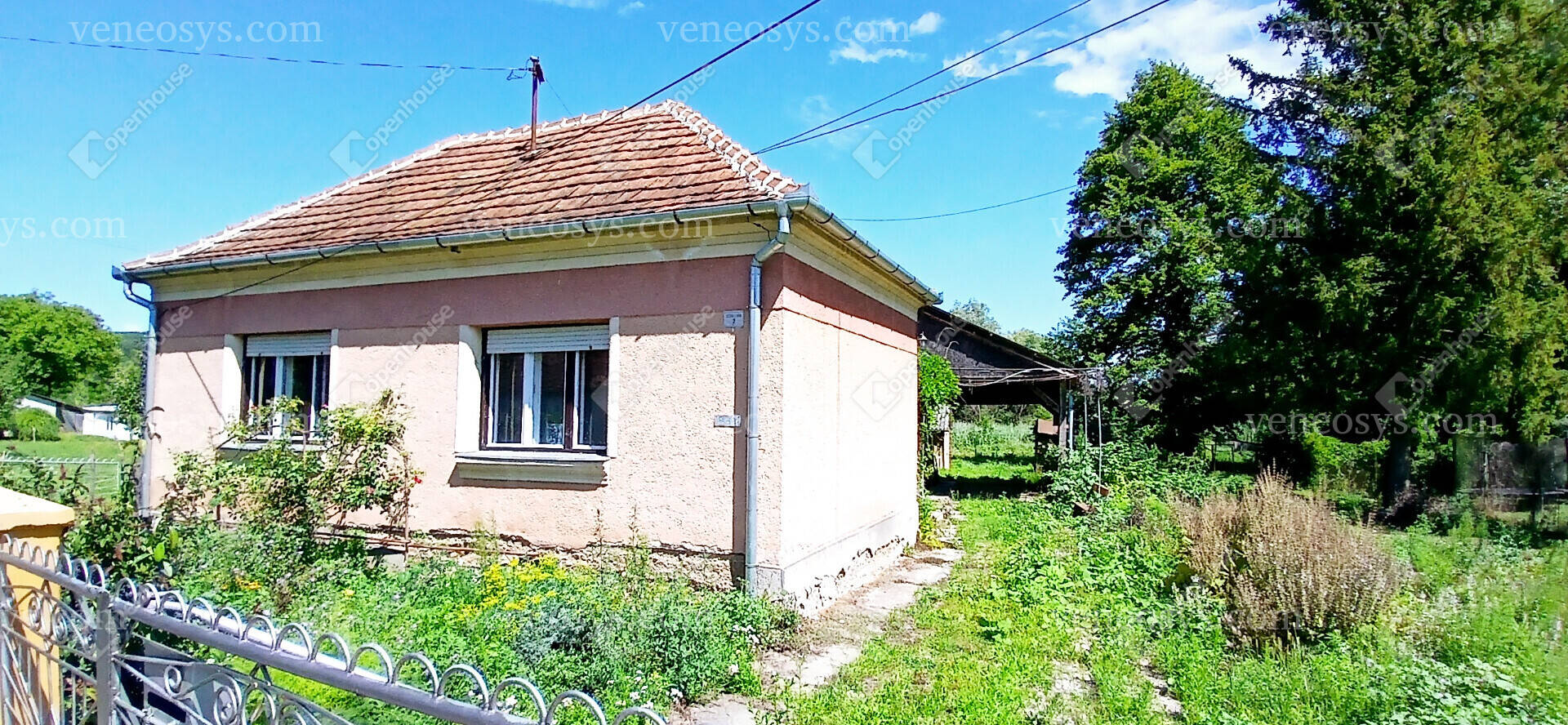 Kép 14