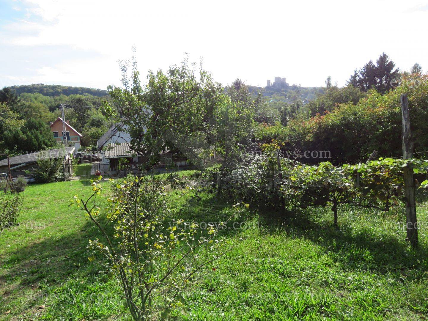 Kép 15