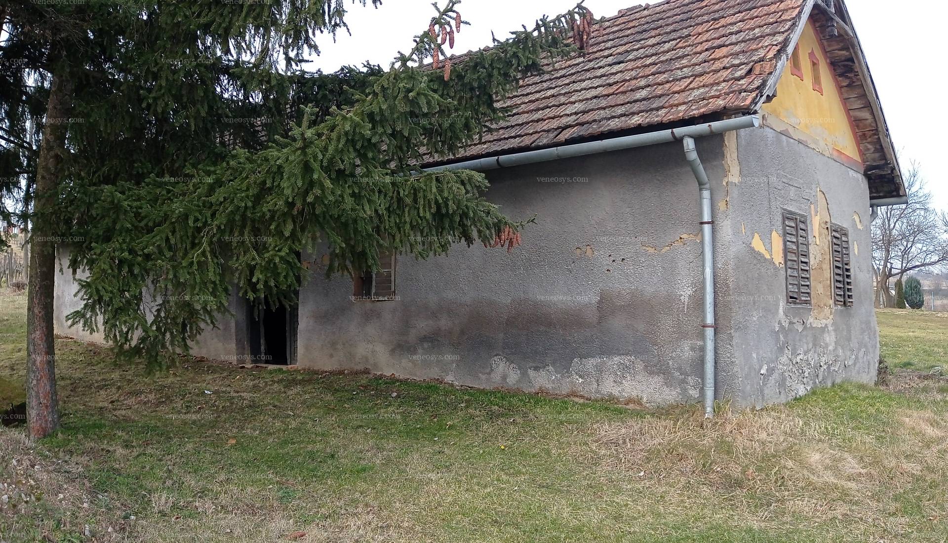 Kép 14