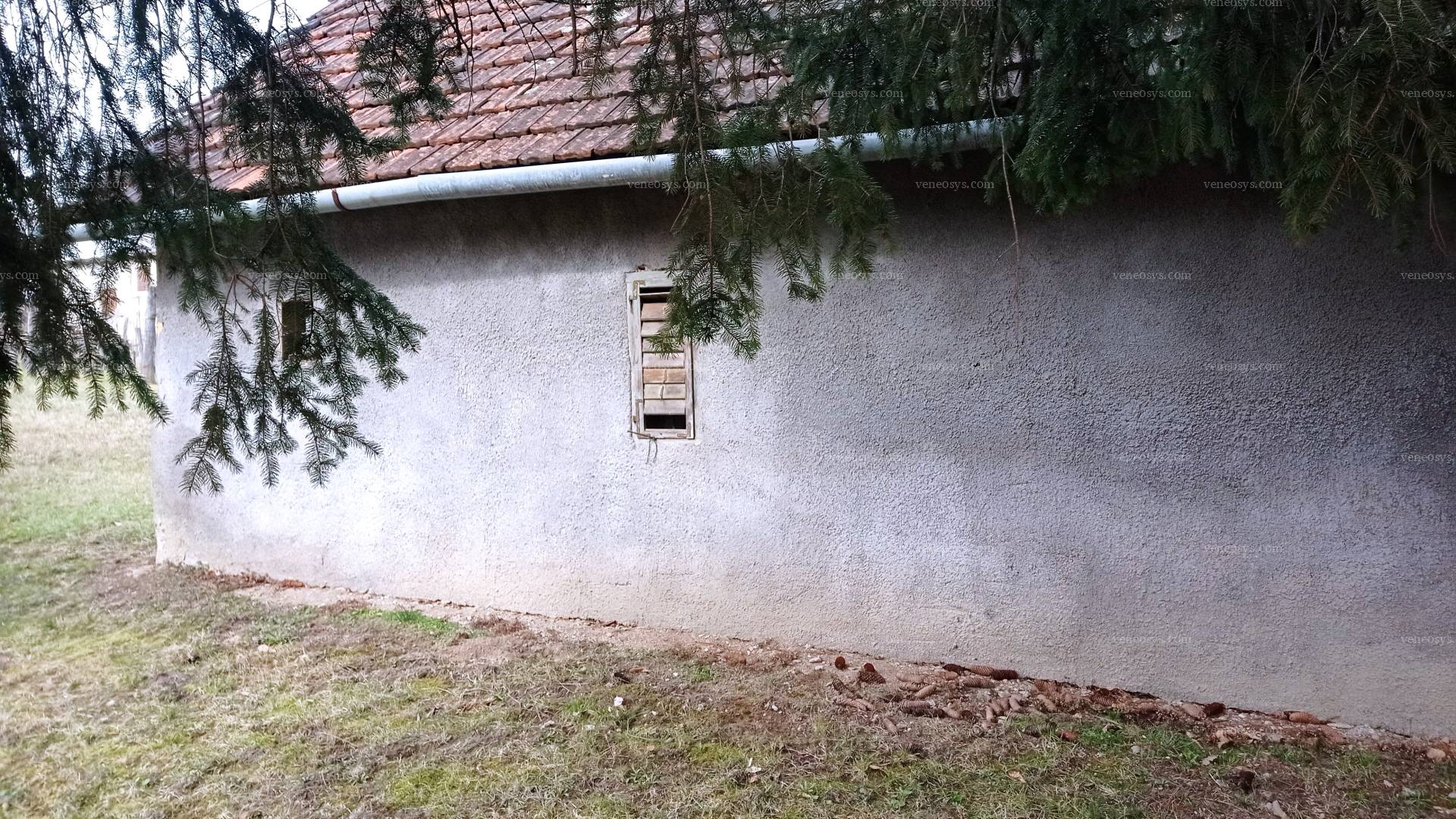 Kép 7