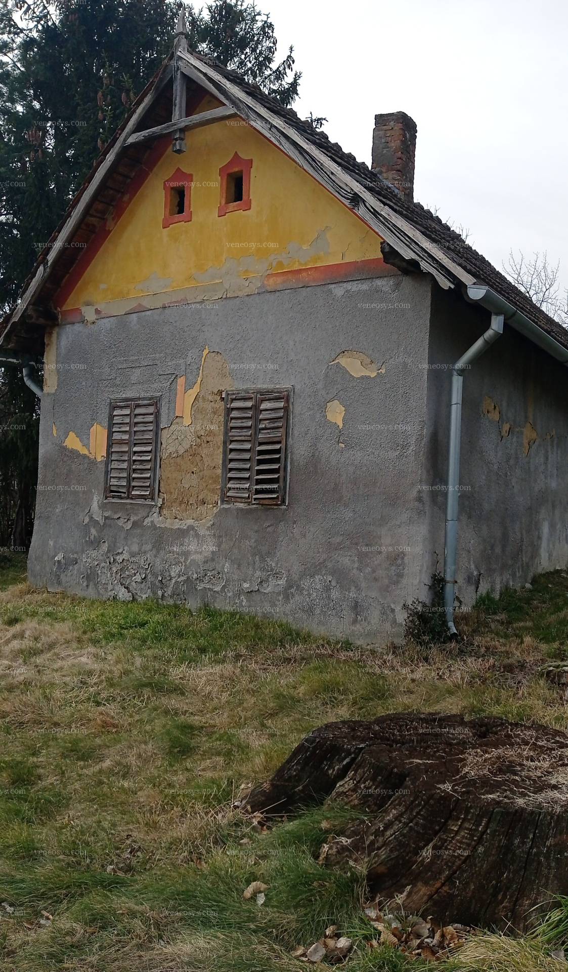 Kép 13