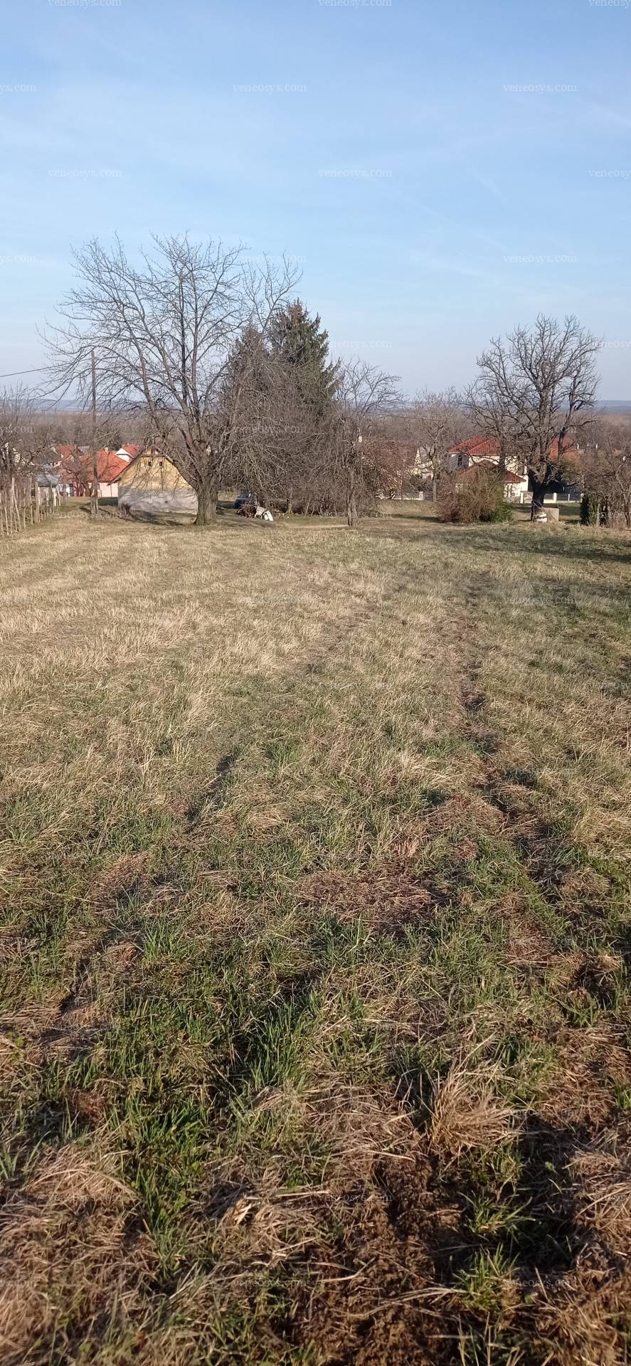 Kép 4