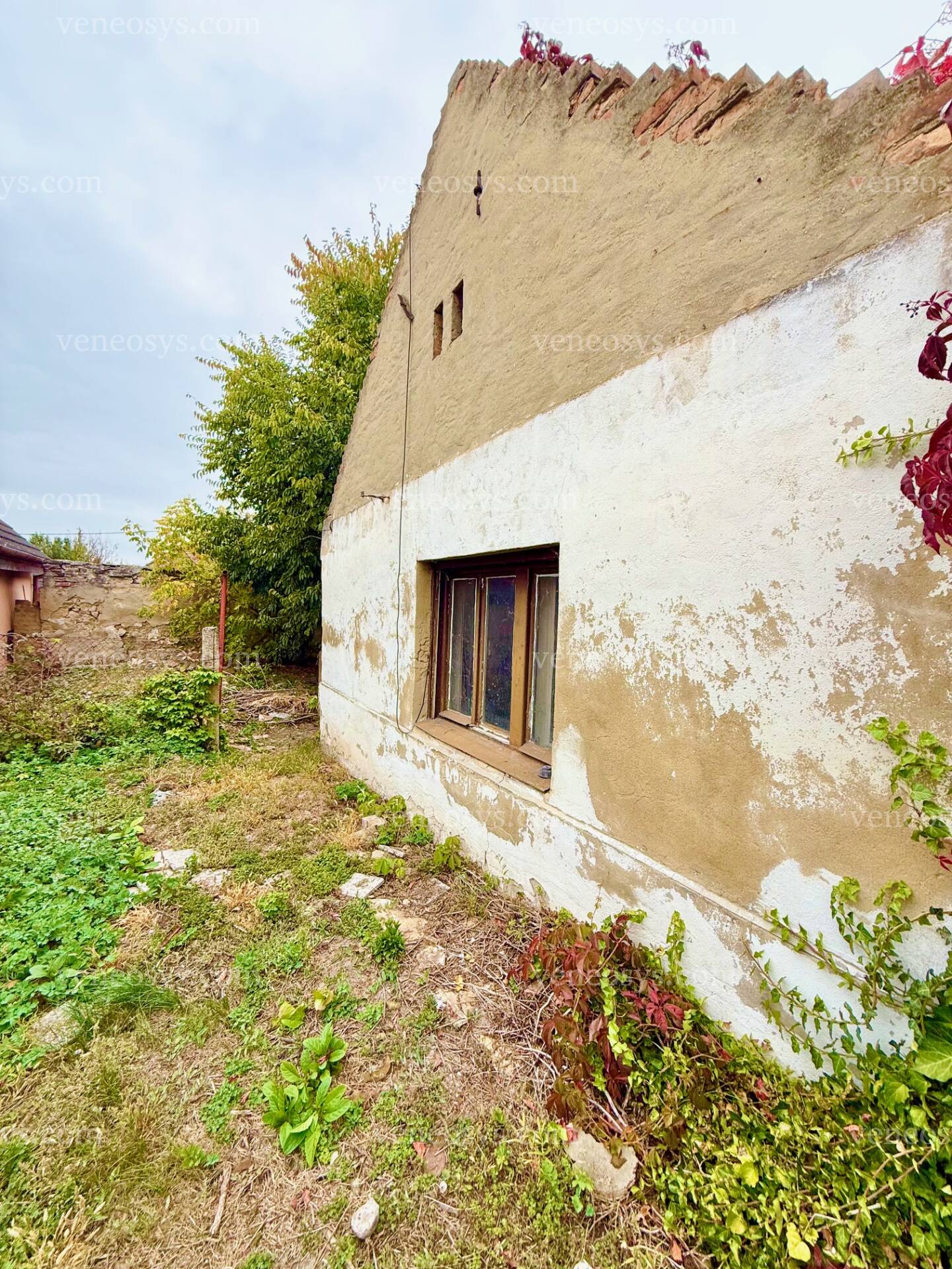 Kép 5