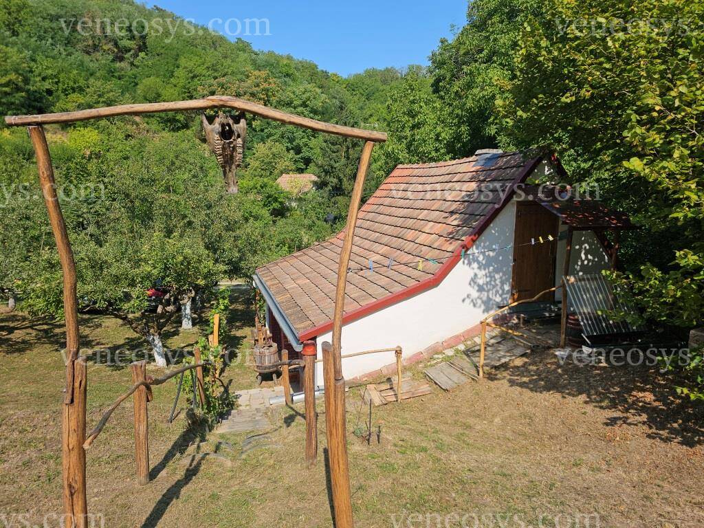 Kép 15