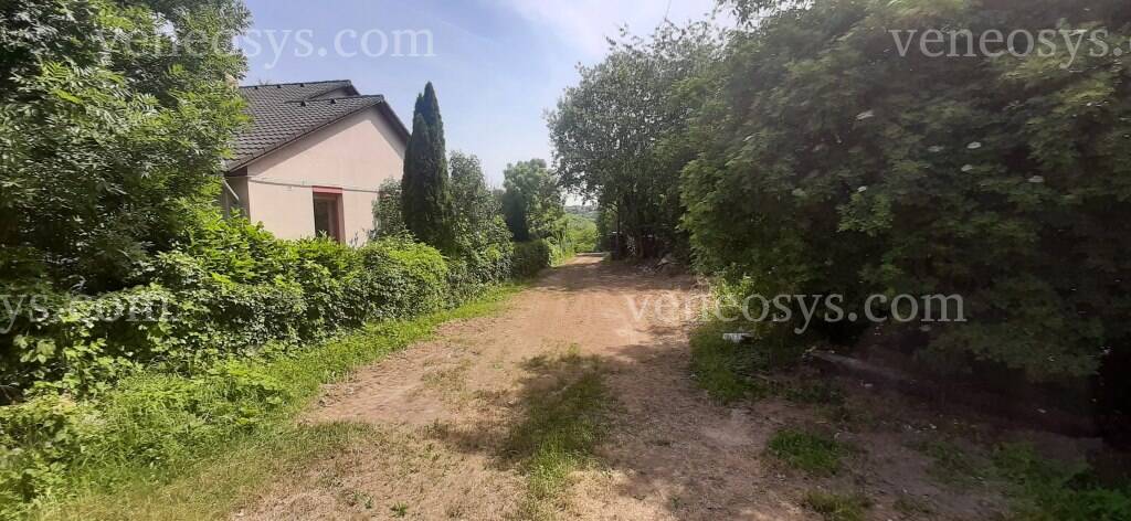 Kép 15