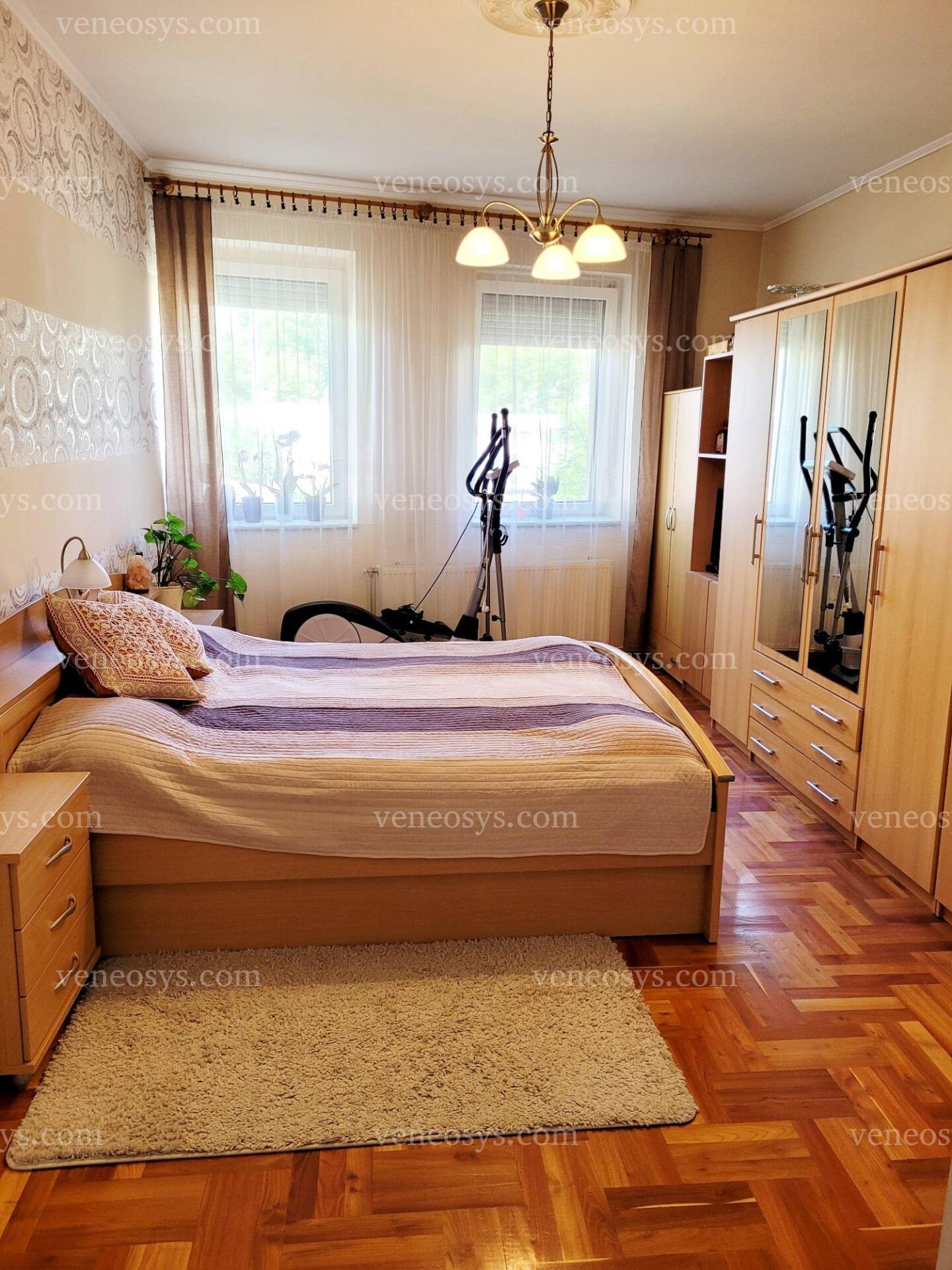 Kép 7