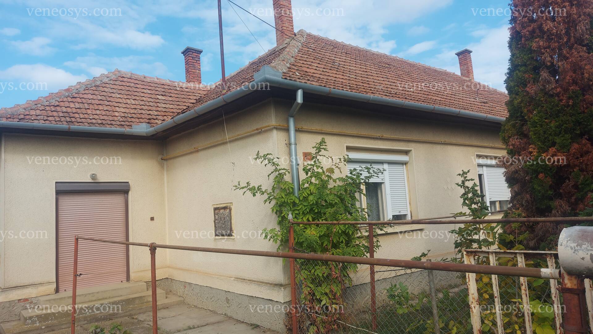 Kép 24