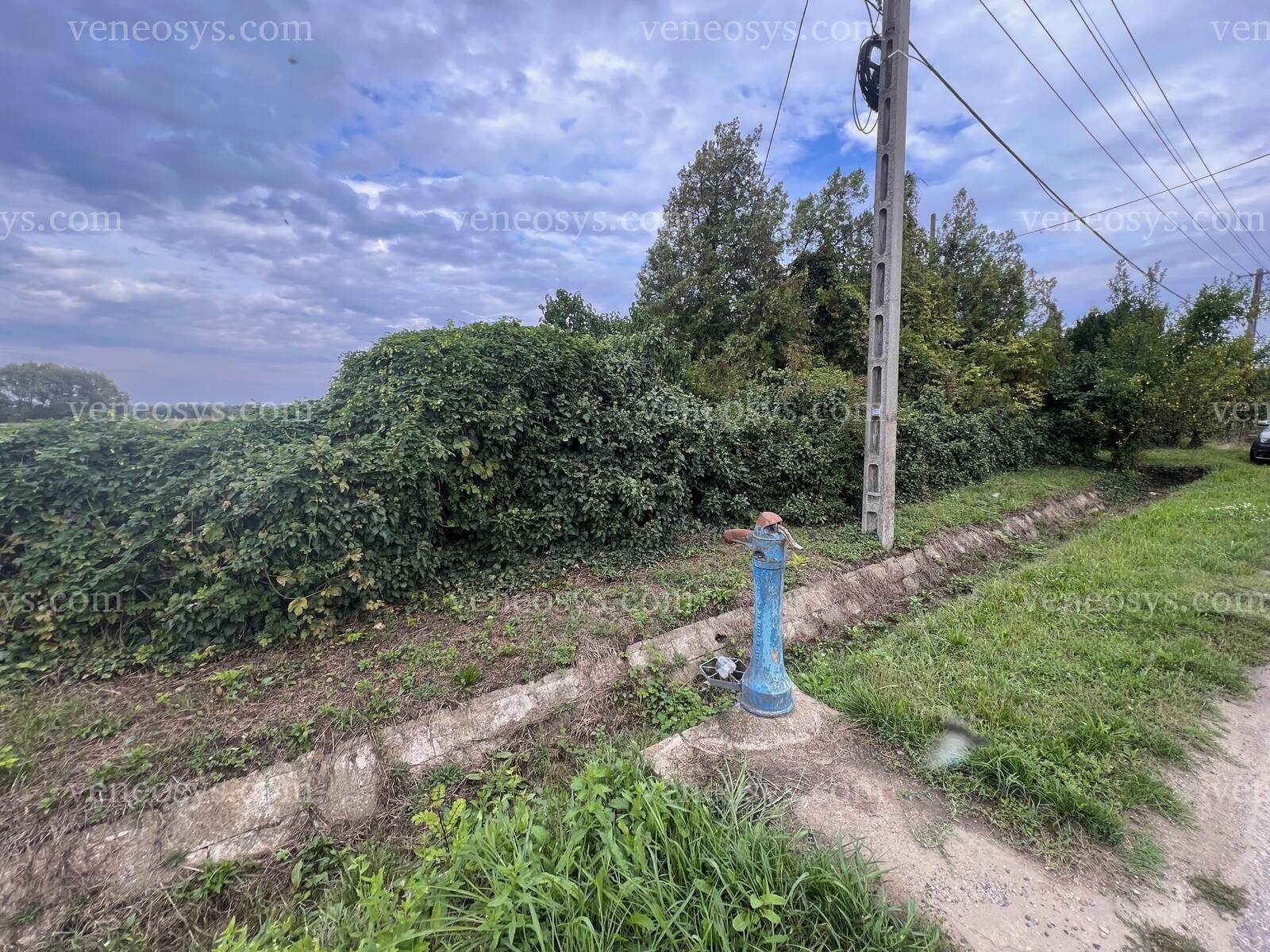Kép 6