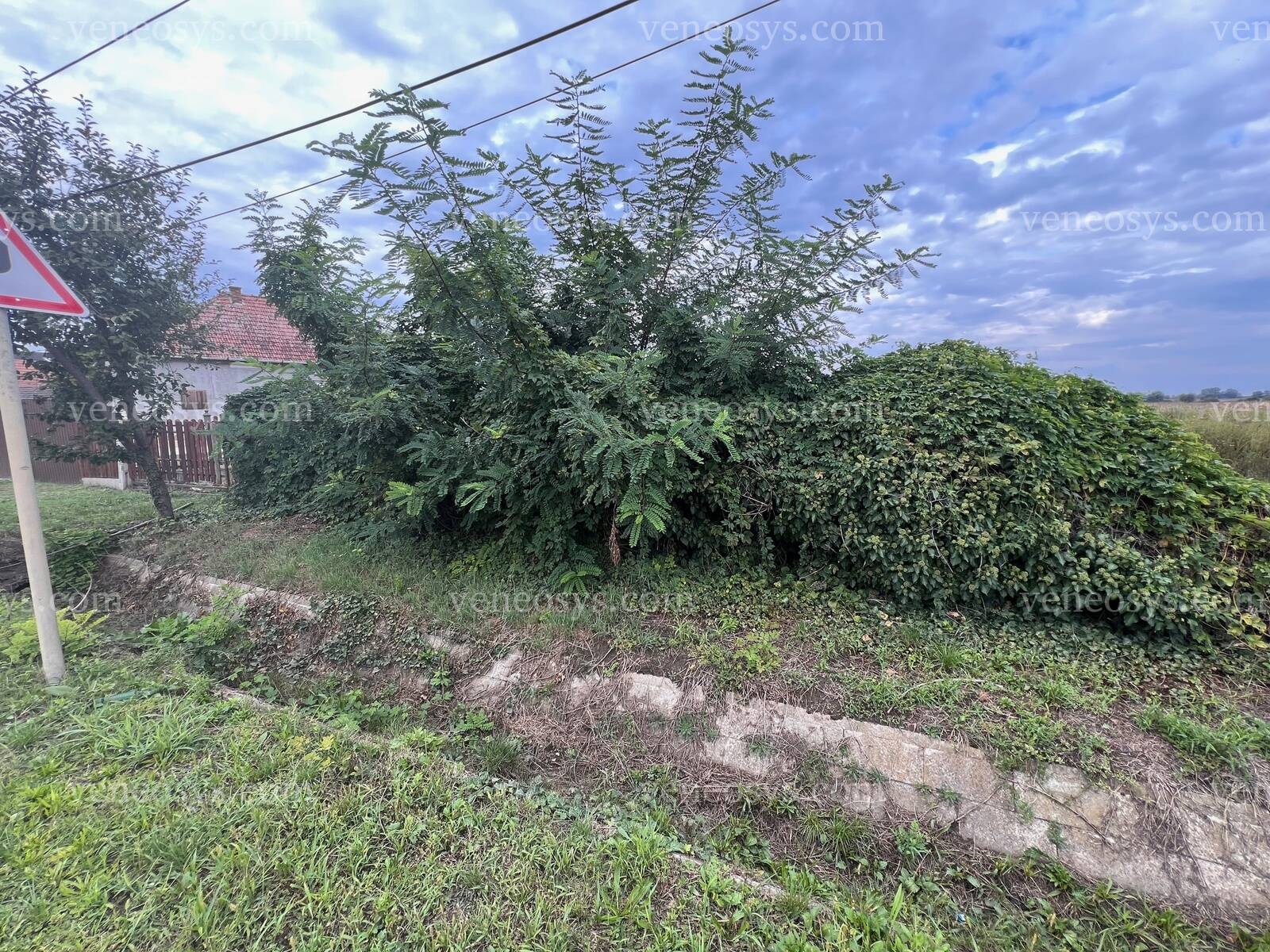 Kép 8