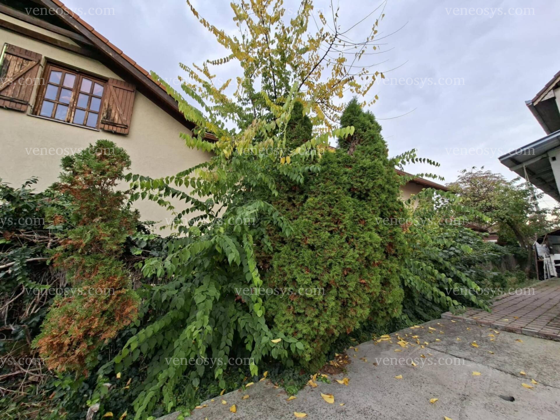 Kép 27