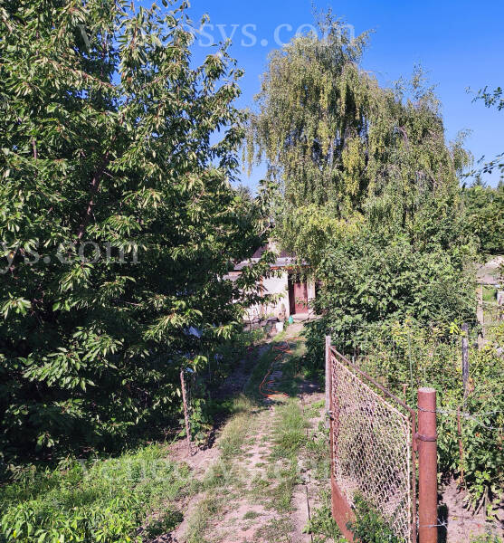 Kép 6