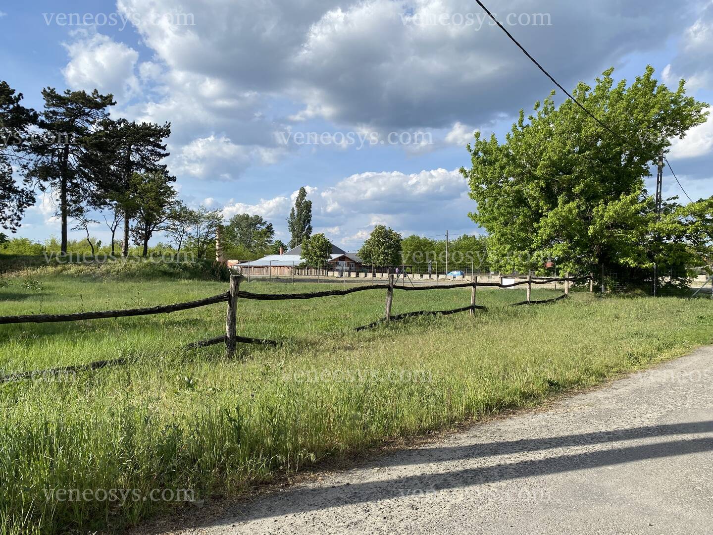 Kép 7