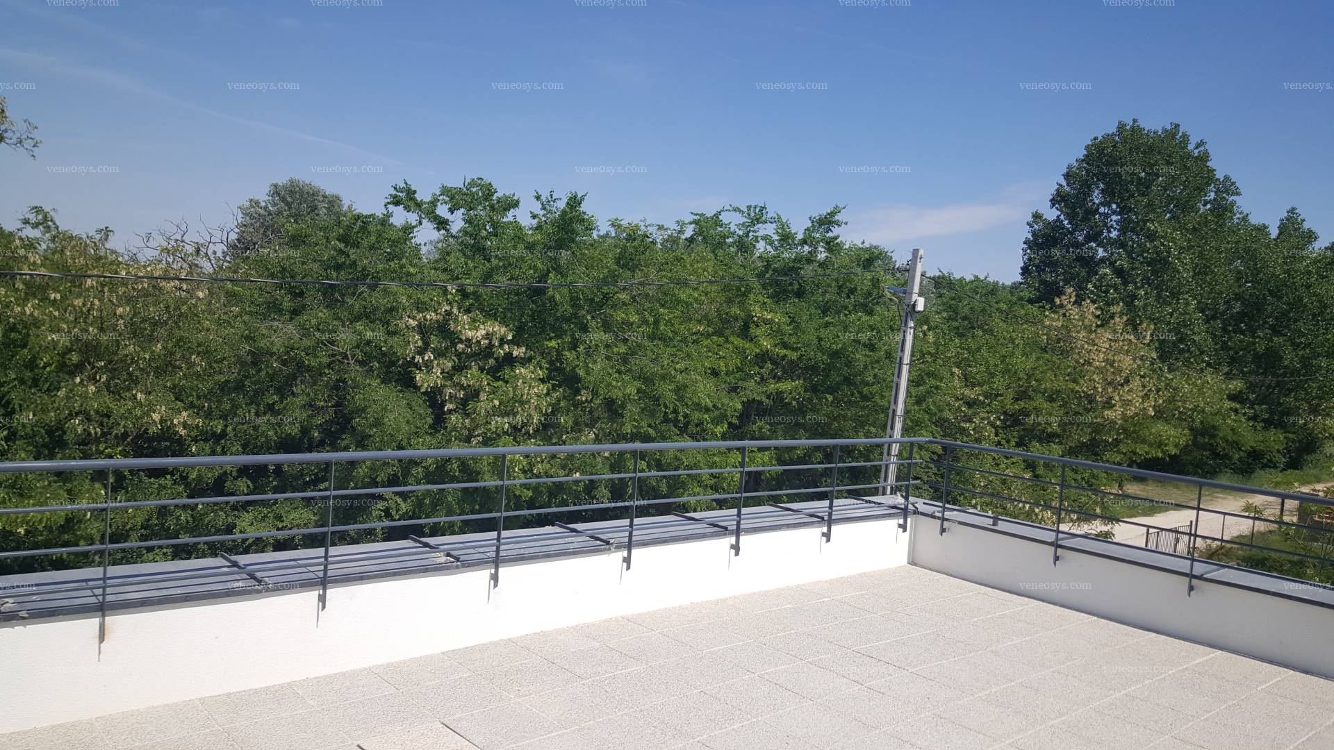 Kép 7