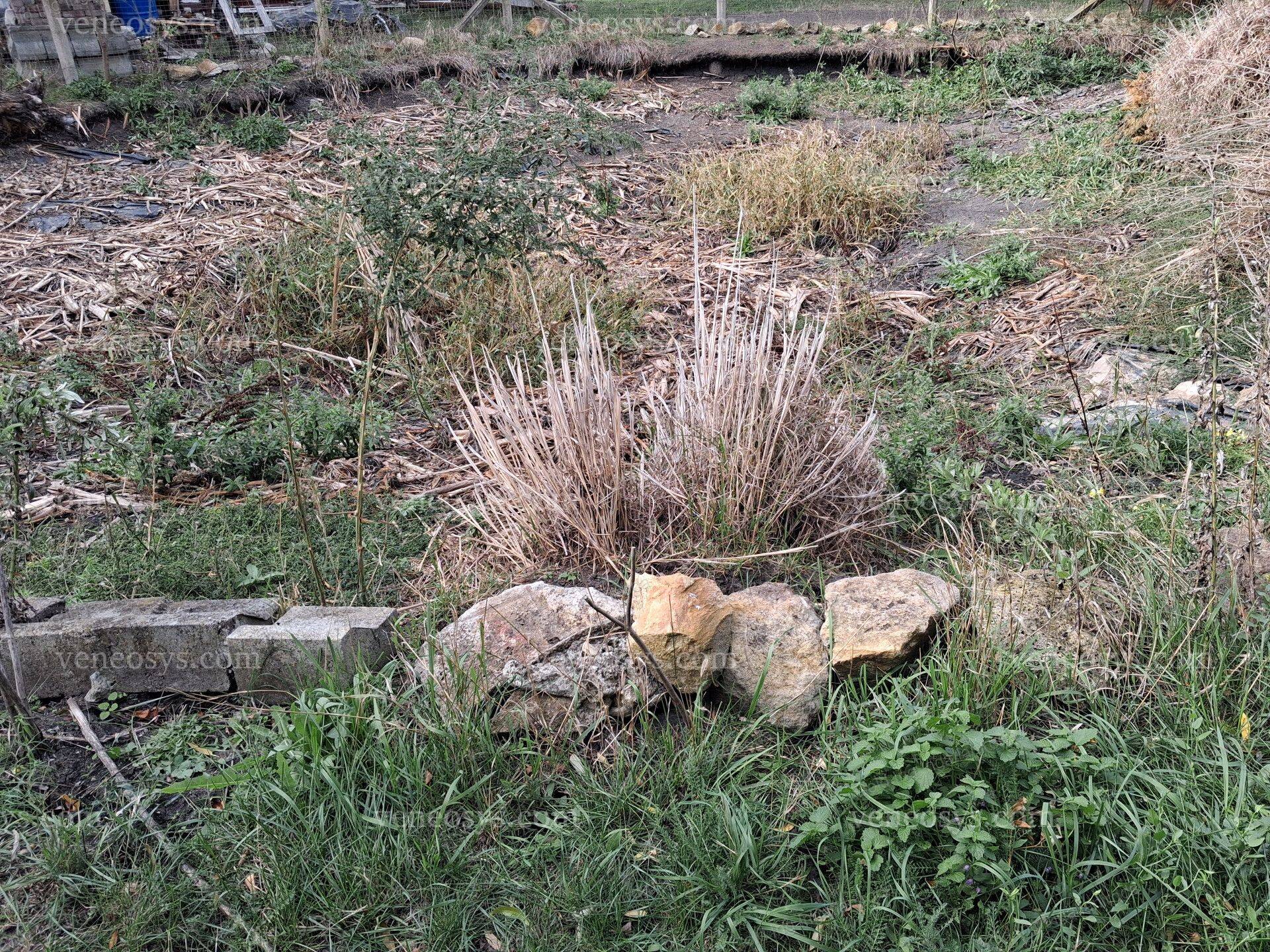 Kép 14