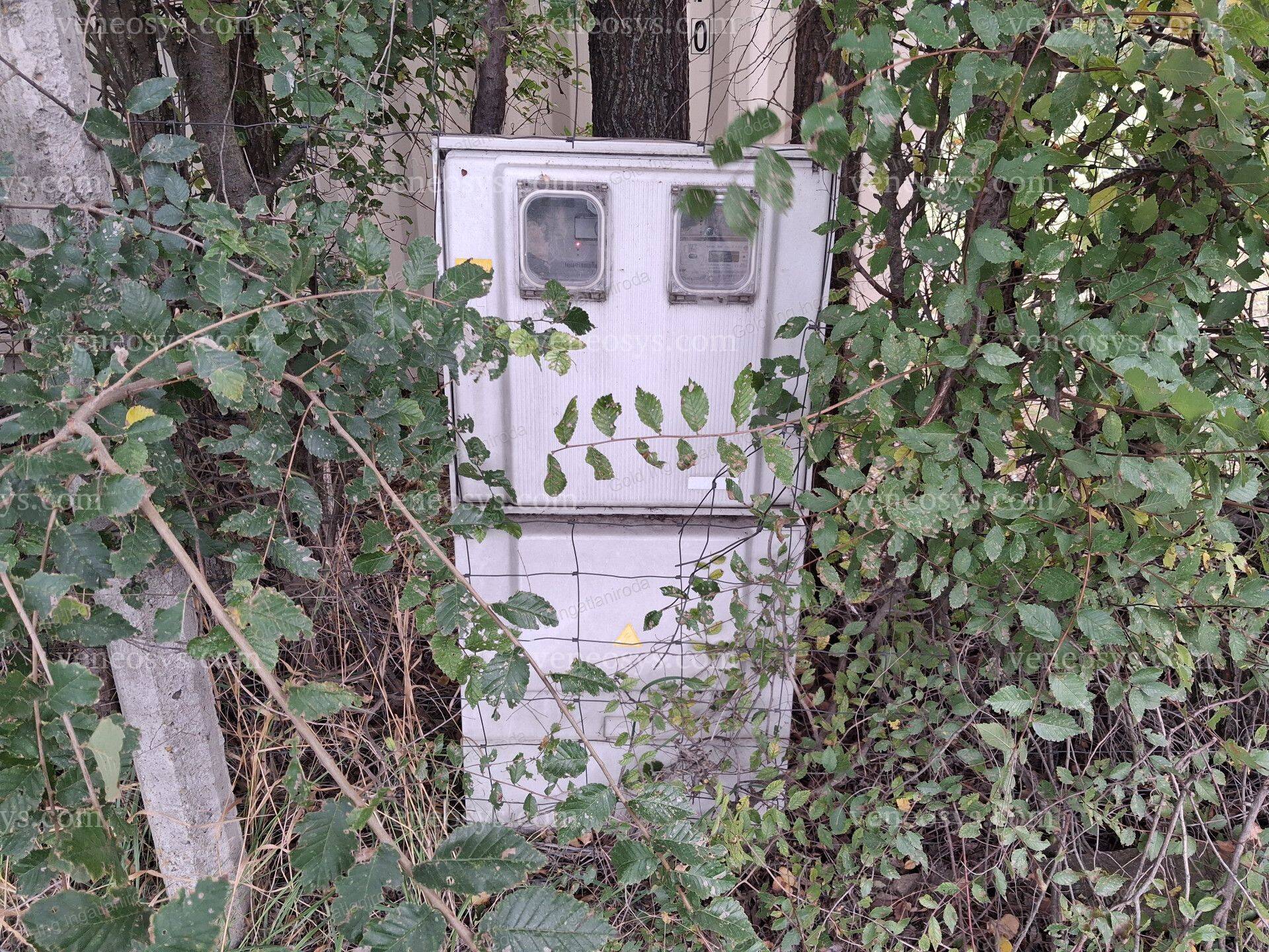 Kép 10