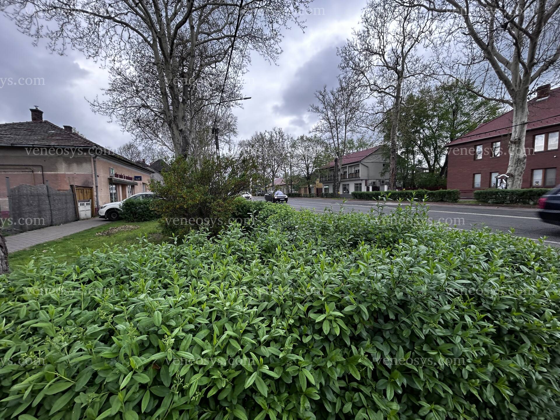 Kép 5