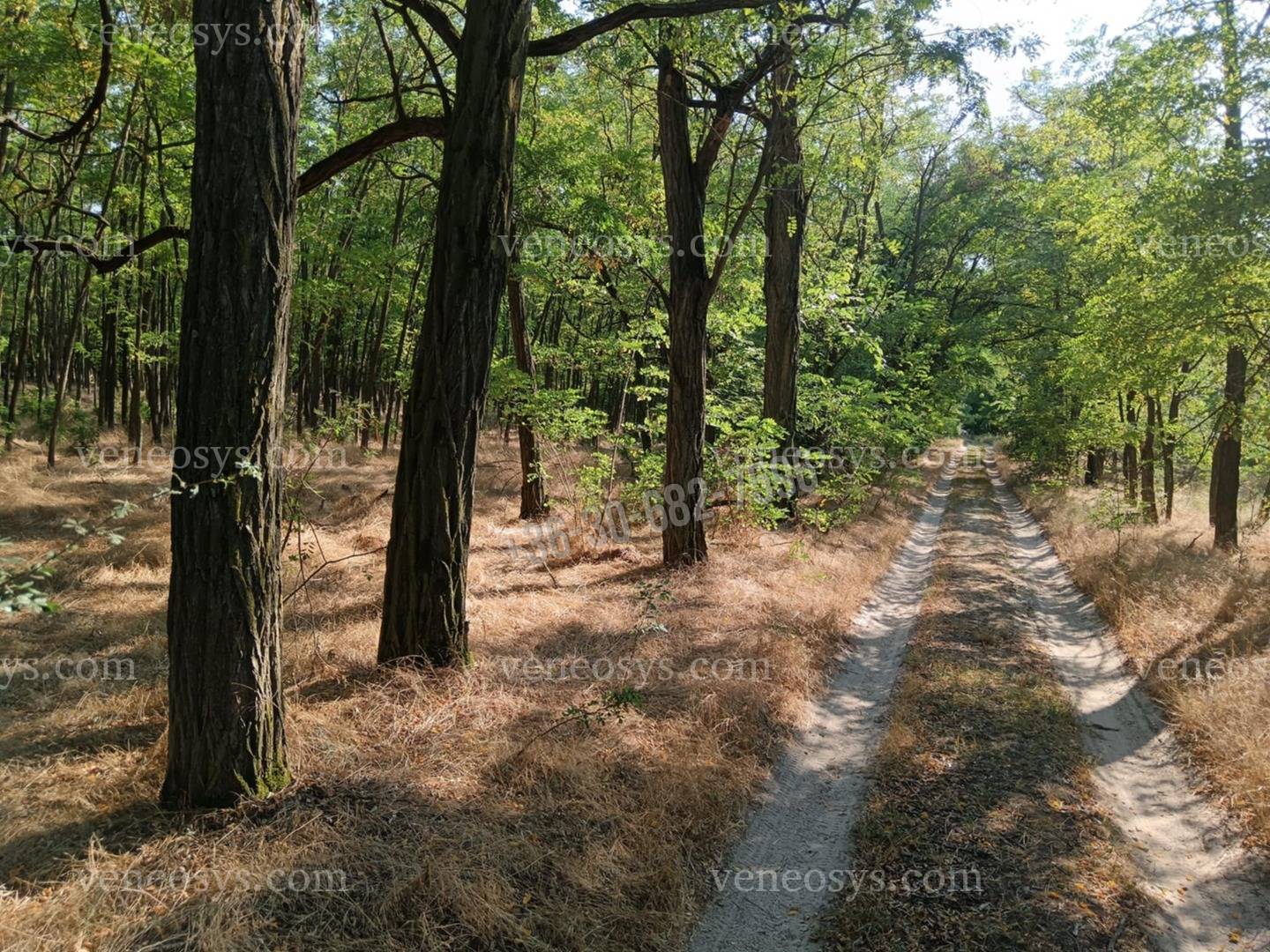 Ingatlan