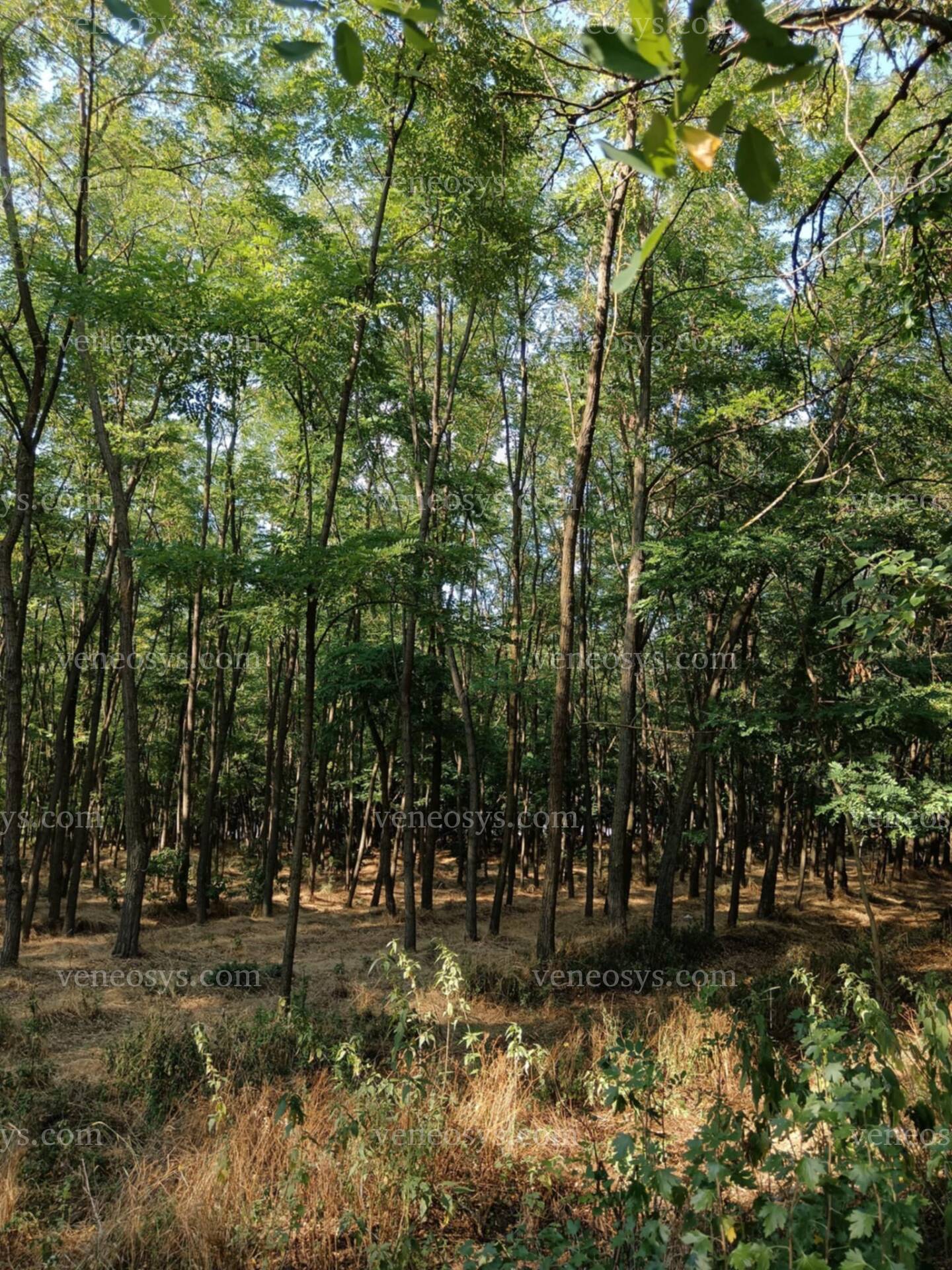 Kép 4