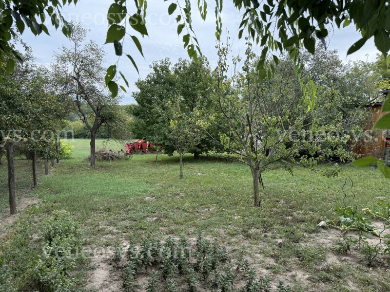 Kép 4