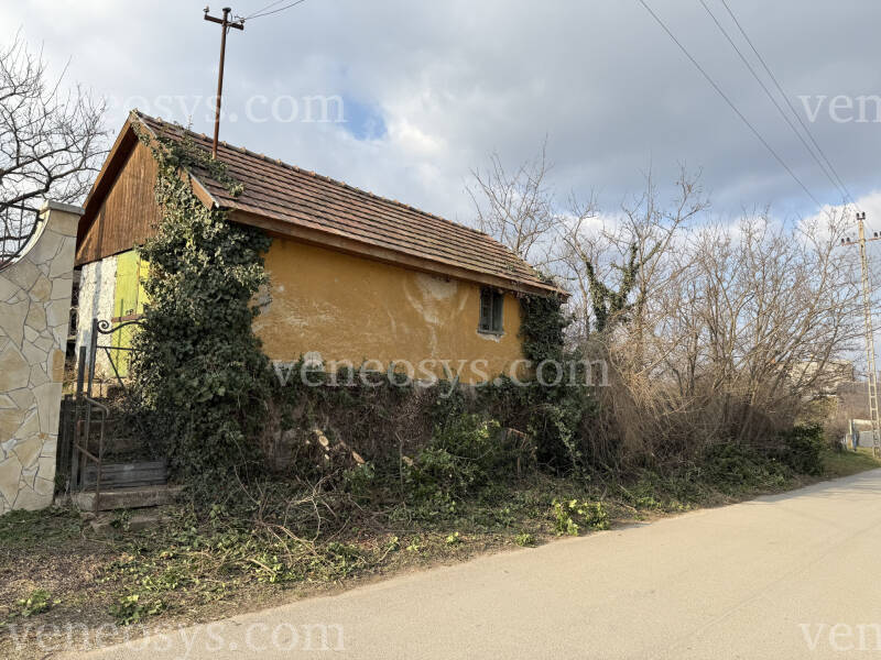 Kép 4