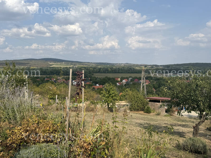 Kép 7
