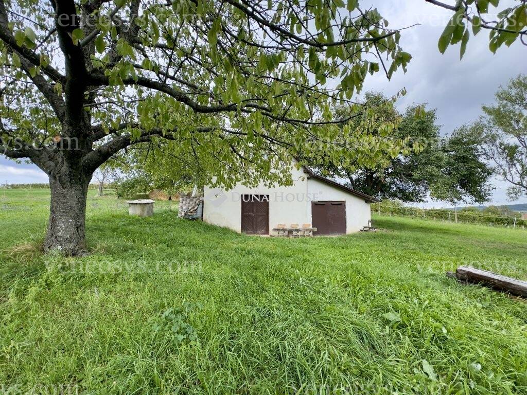 Kép 3