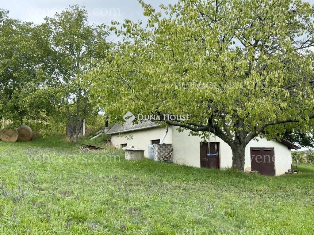 Kép 15
