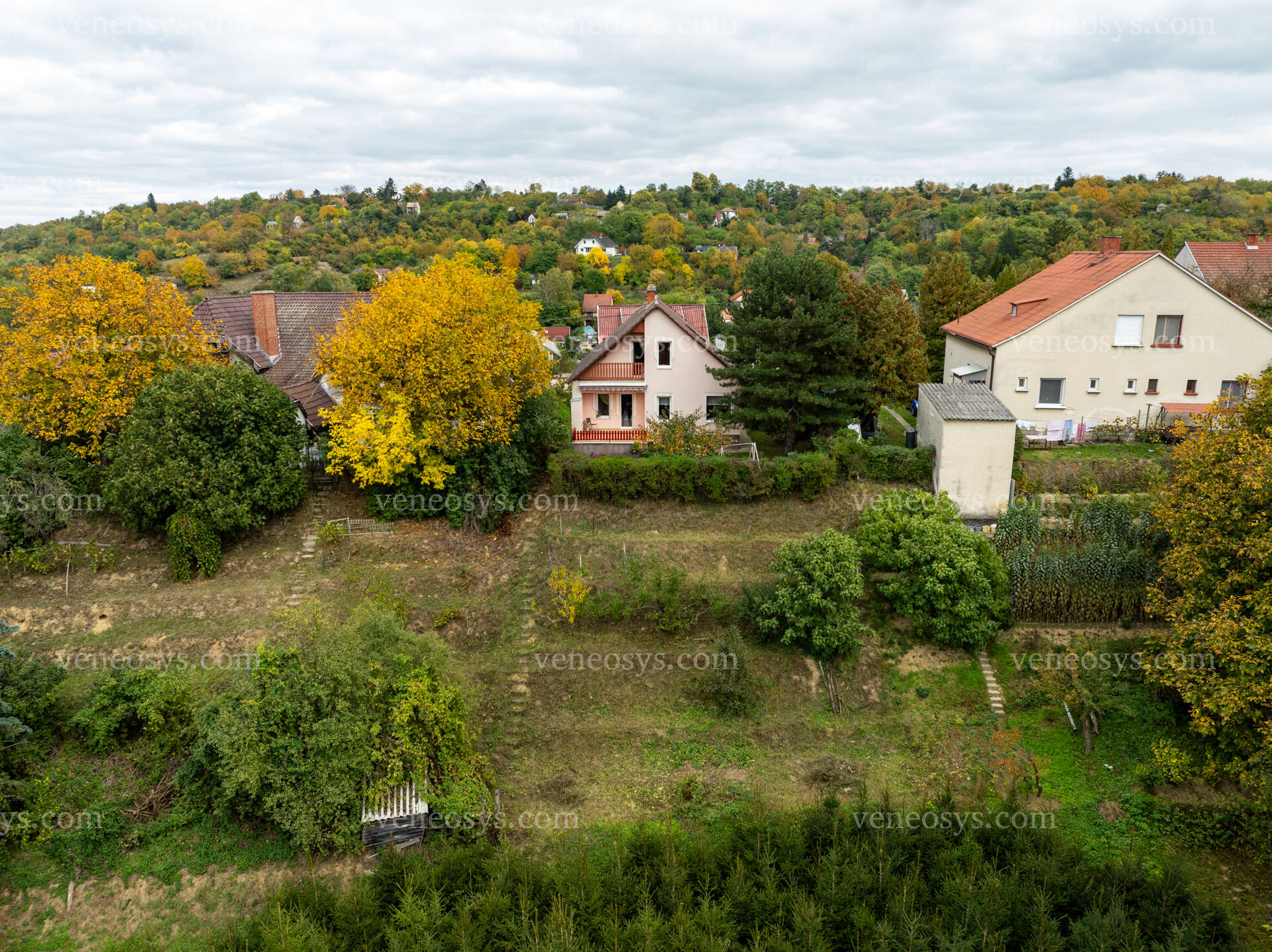 Kép 9