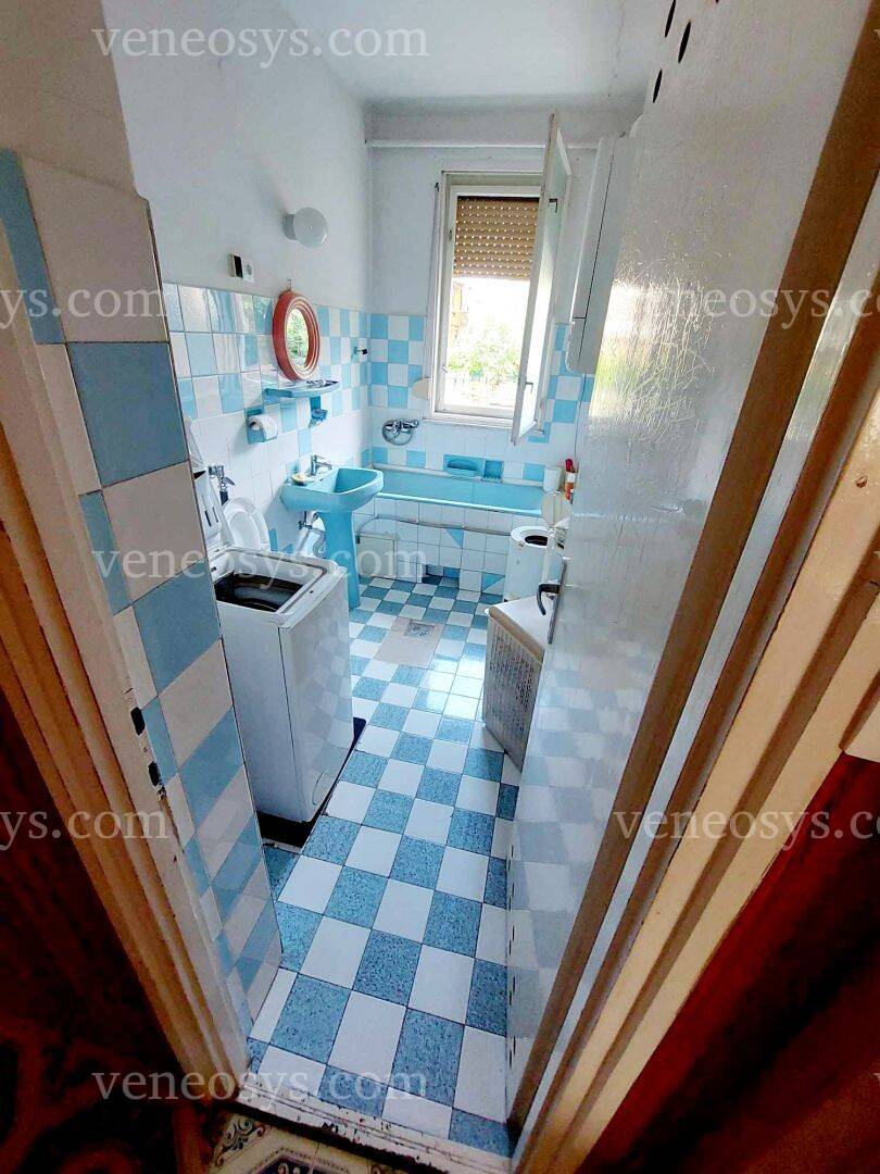 Kép 11