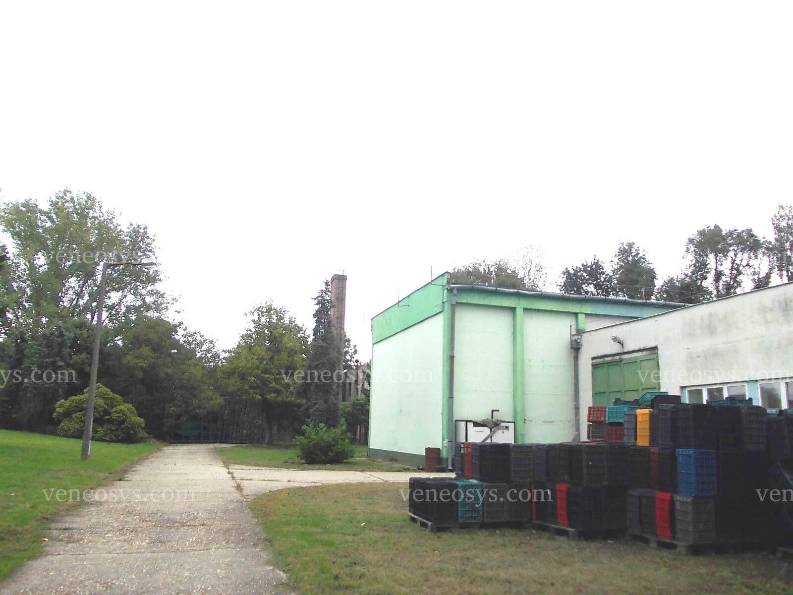 Kép 7
