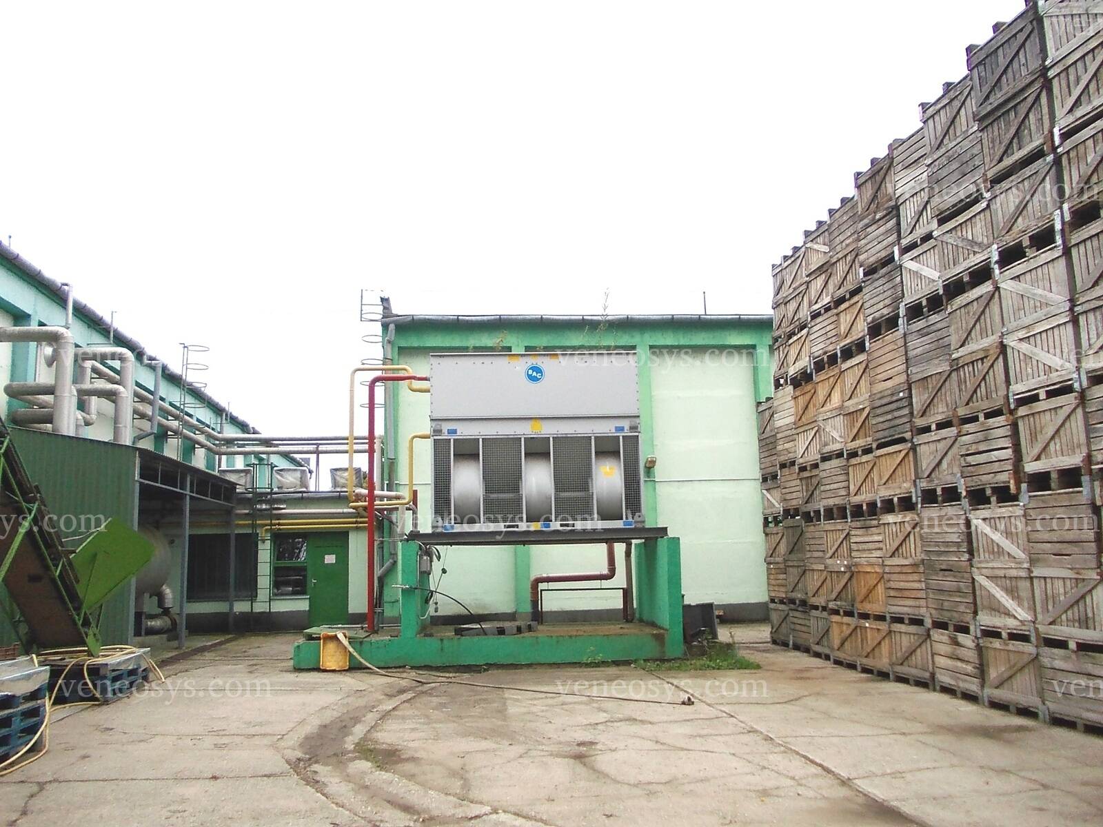 Kép 10