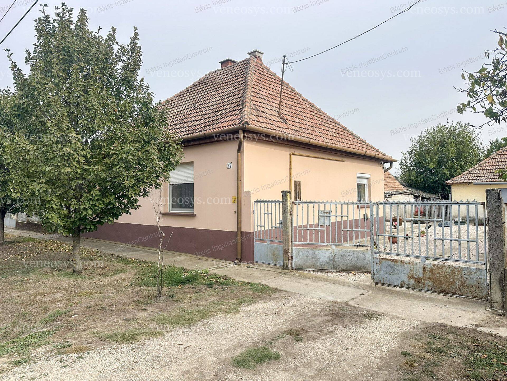 Kép 17