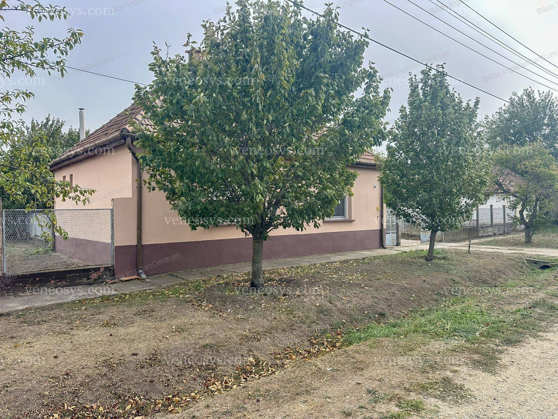 Kép 19