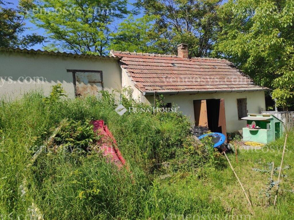 Kép 14