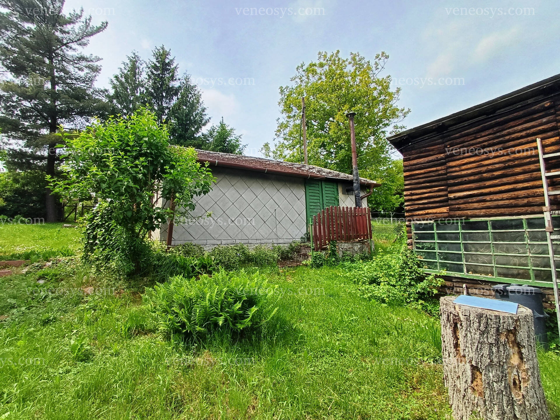 Kép 5