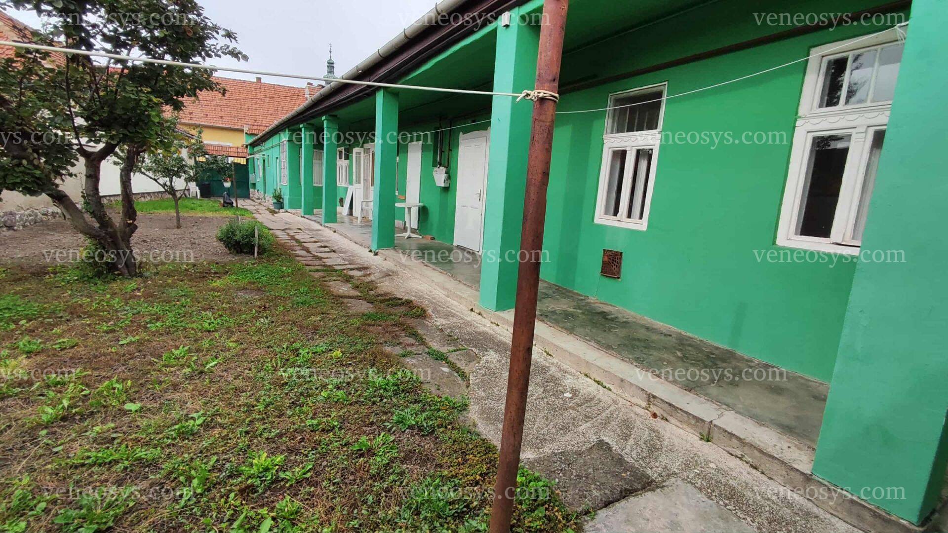 Kép 15