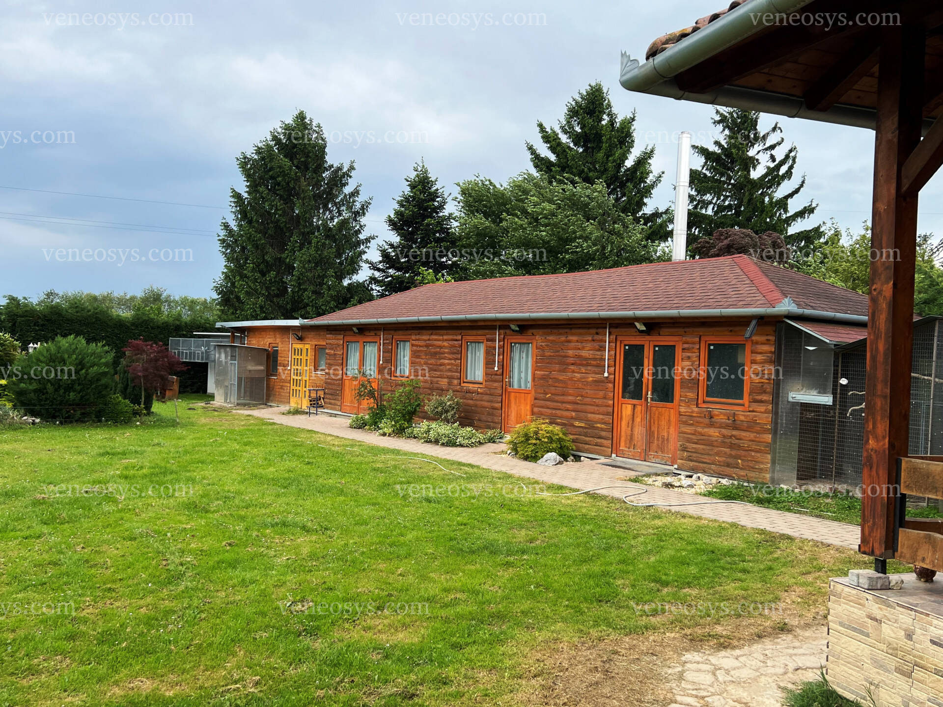 Kép 5