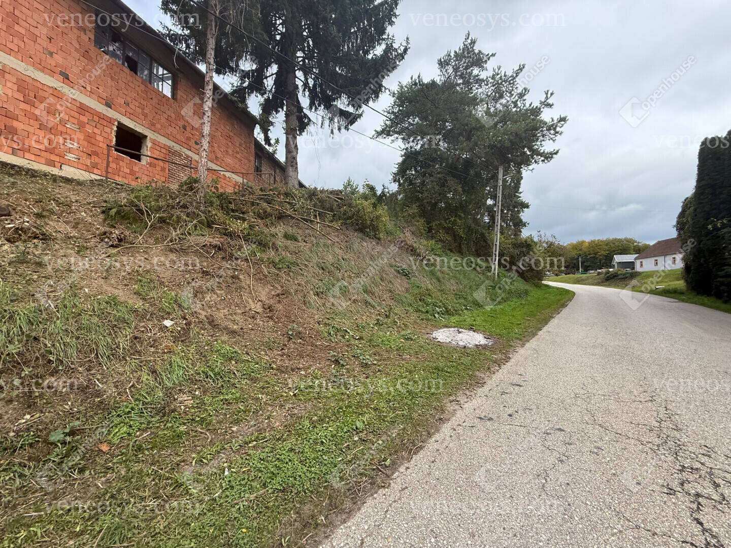 Kép 20
