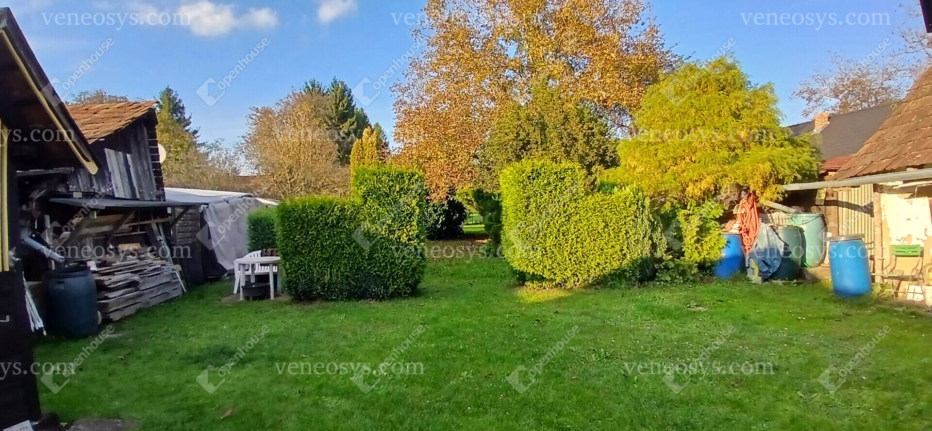 Kép 8