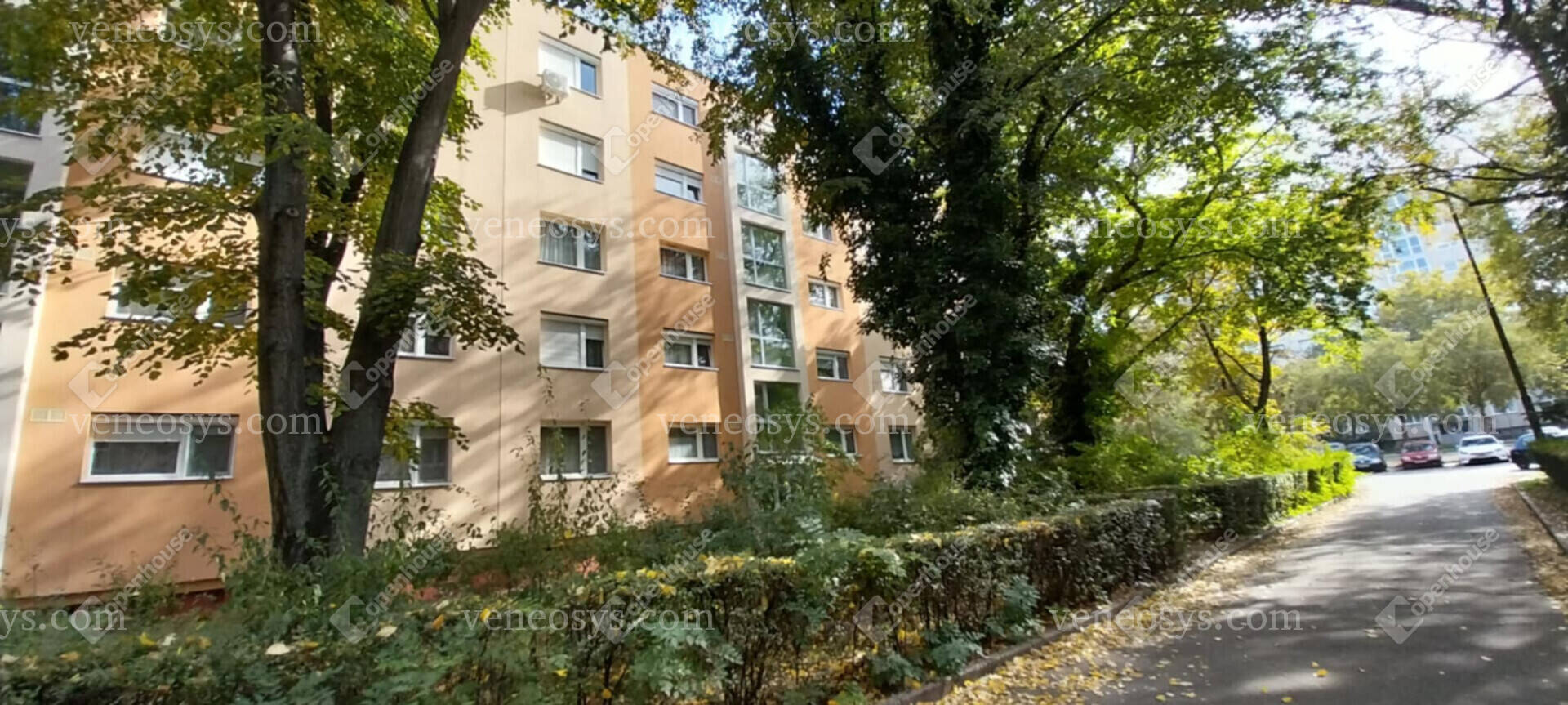 Kép 11