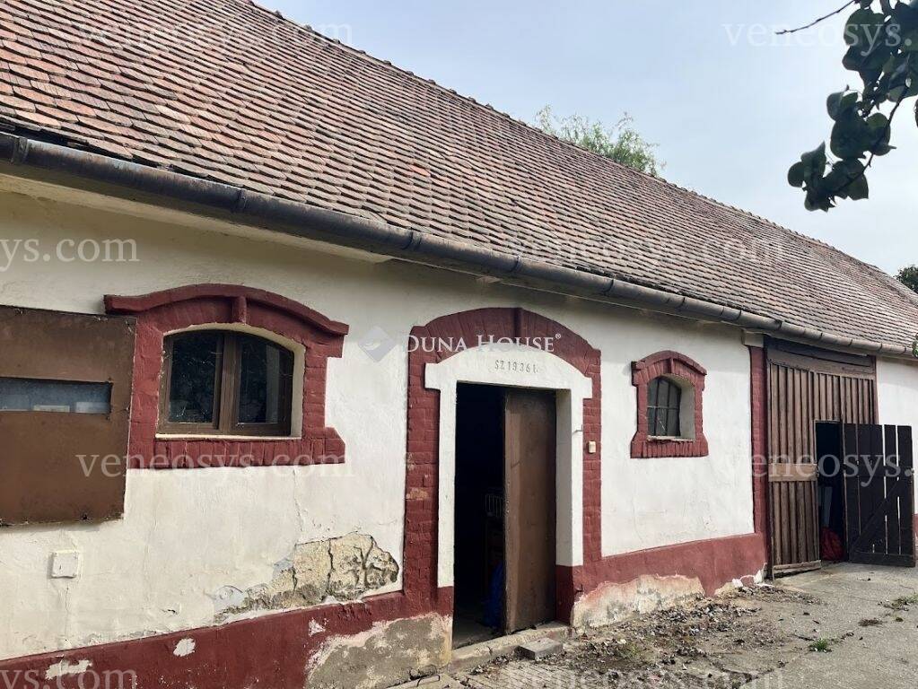 Kép 7