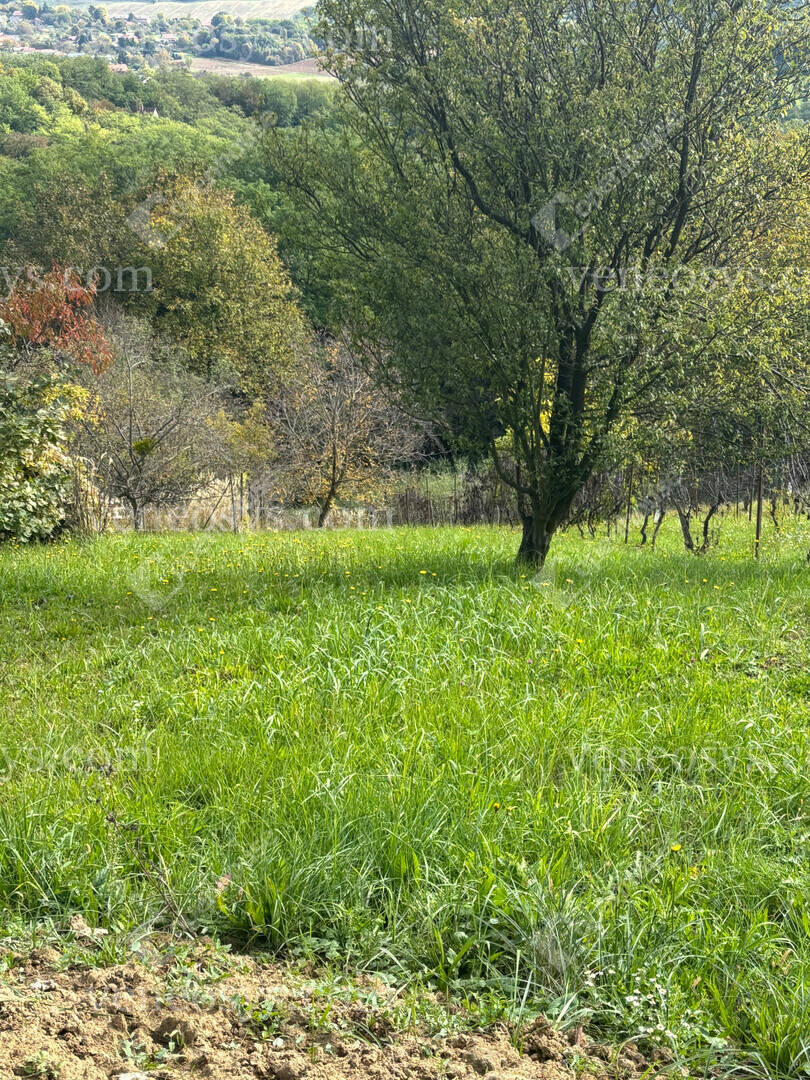 Kép 5