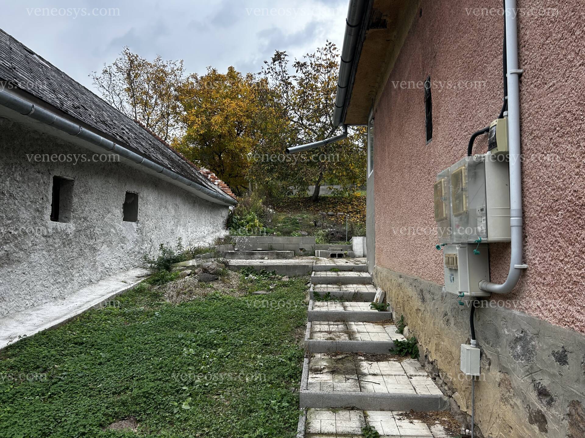 Kép 10
