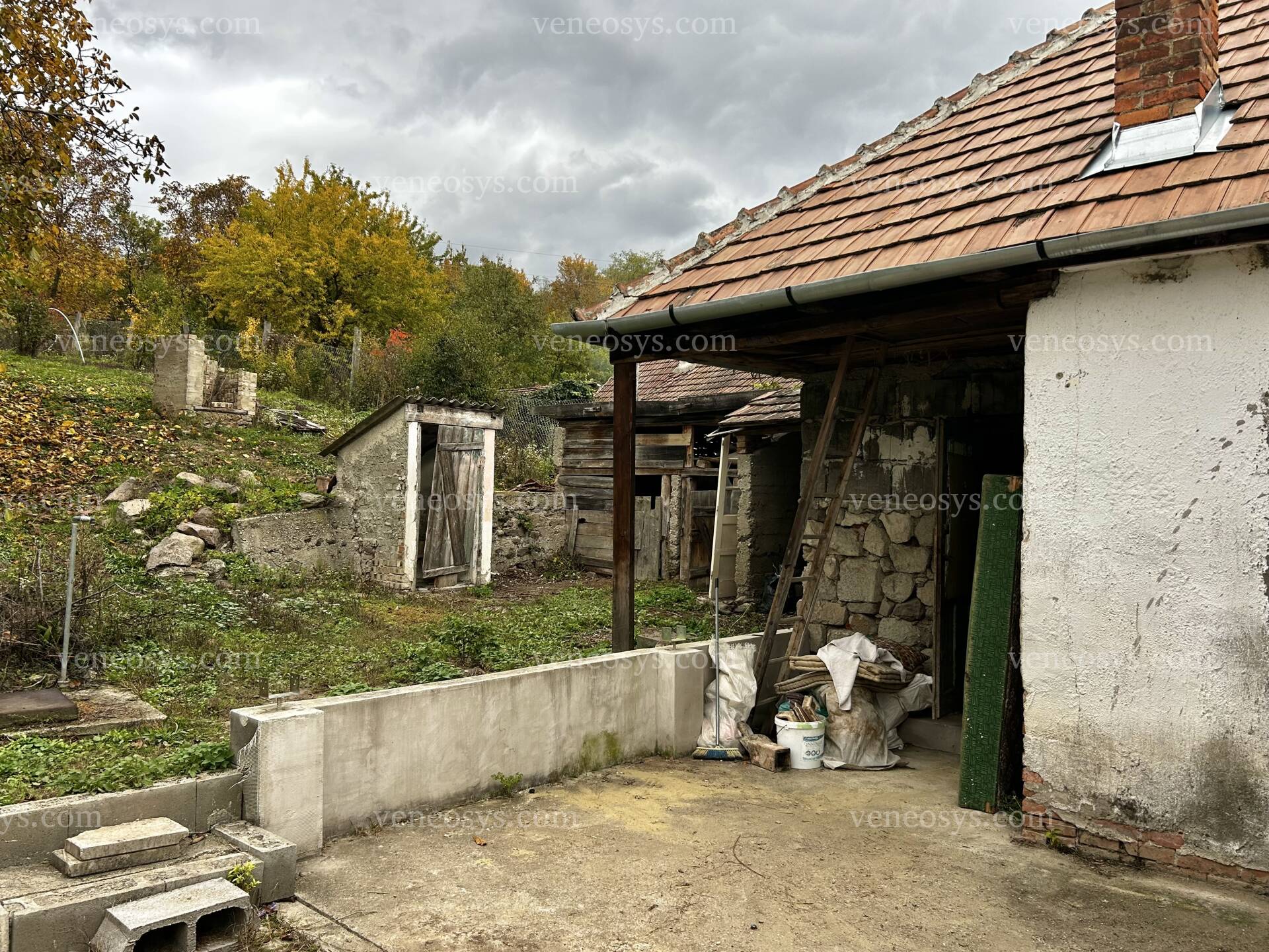 Kép 8