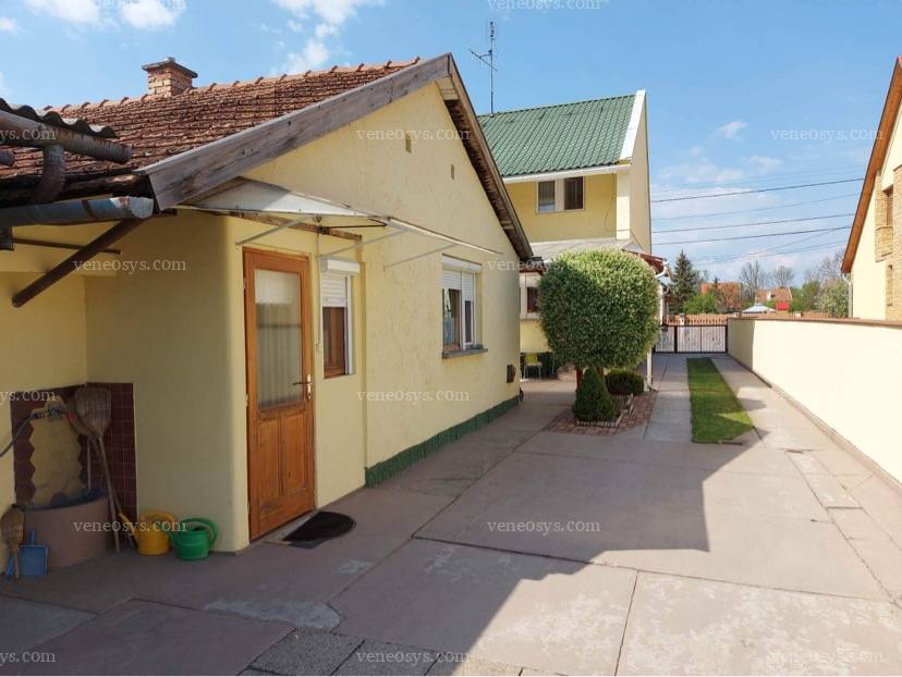 Kép 19